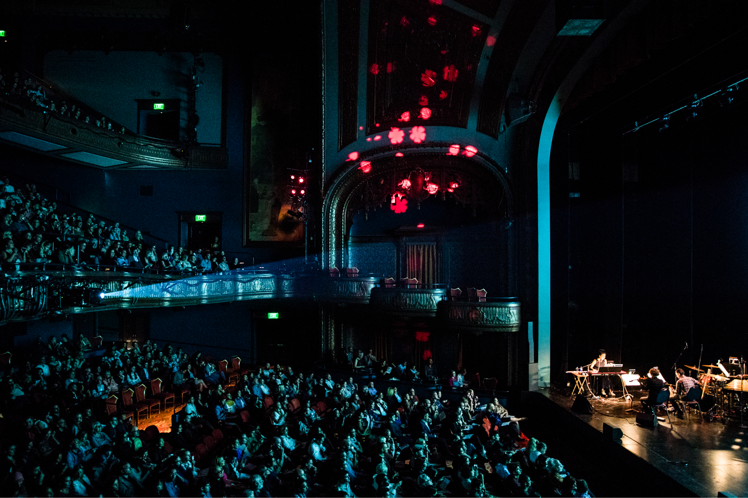 The audience at a Pop-Up Magazine show, with flowers projected on the theater walls.