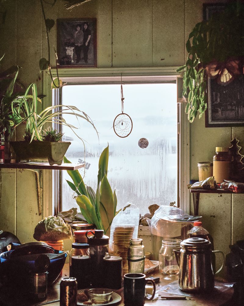 Plants surround a window, which looks out on a snowy landscape.