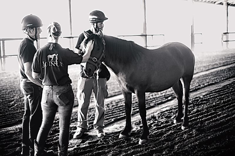 Three people stand near the head of a horse standing still.