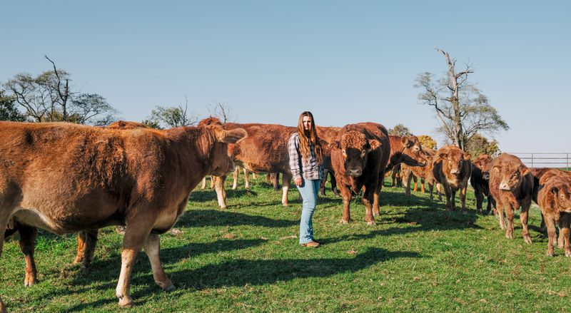 A teenage girl stands in the middle of a herd of brown cows.